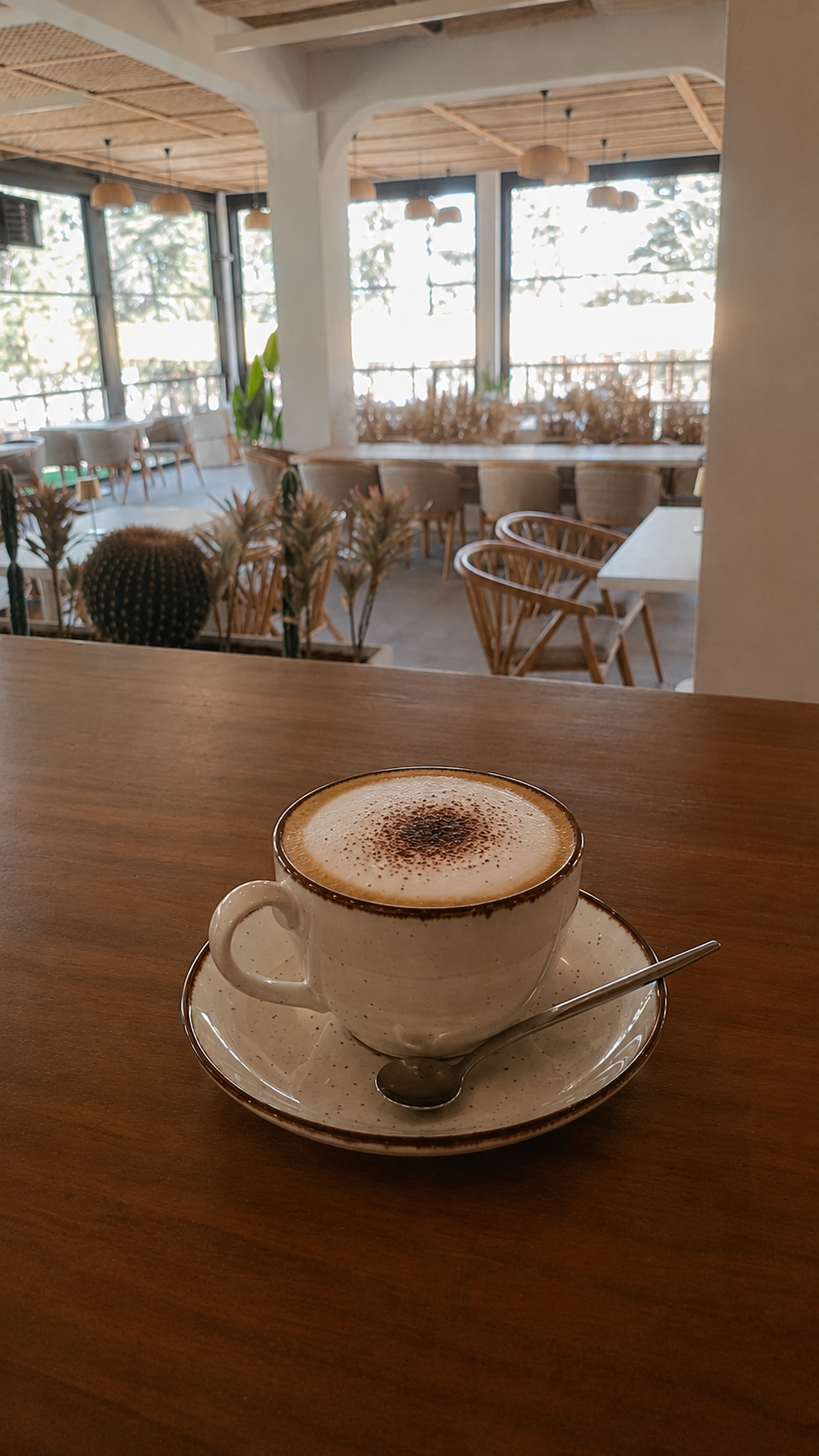 CAPPUCCİNO