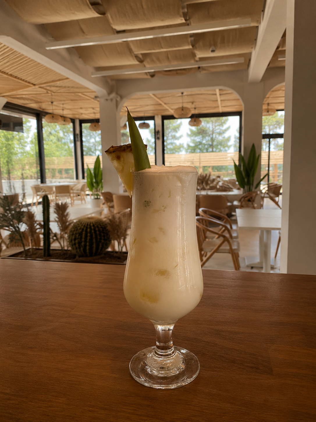 PİNOCOLADA