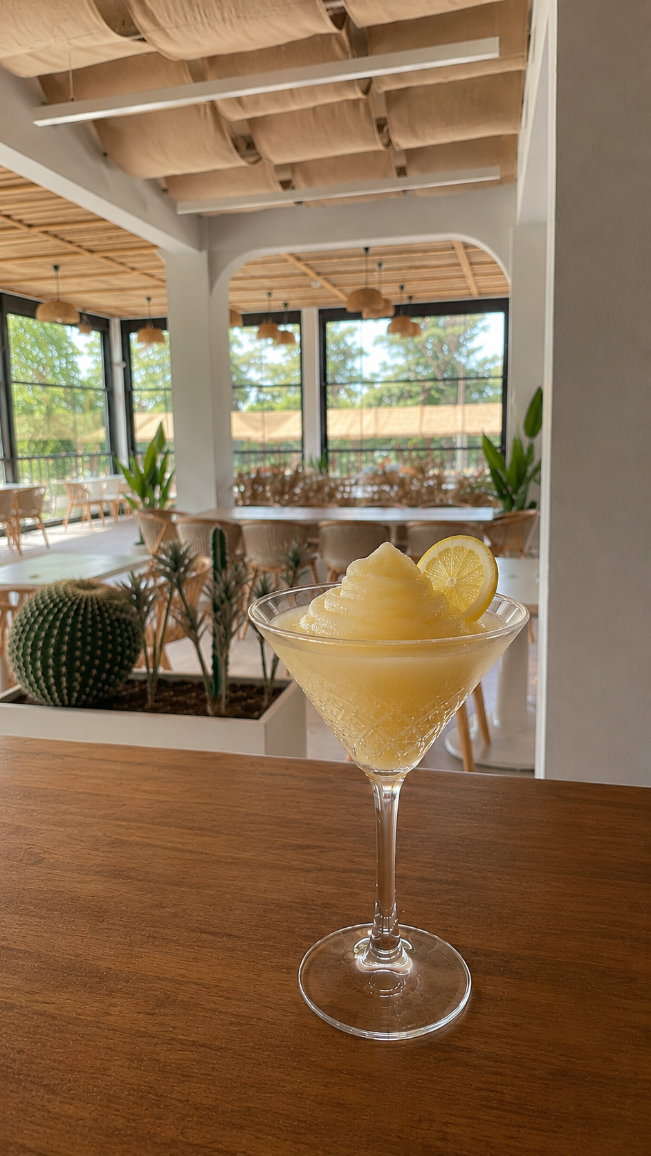 FROZEN  LEMON